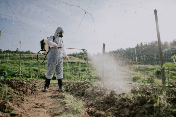 Best Pest Control for Homes  in Sunbury, PA