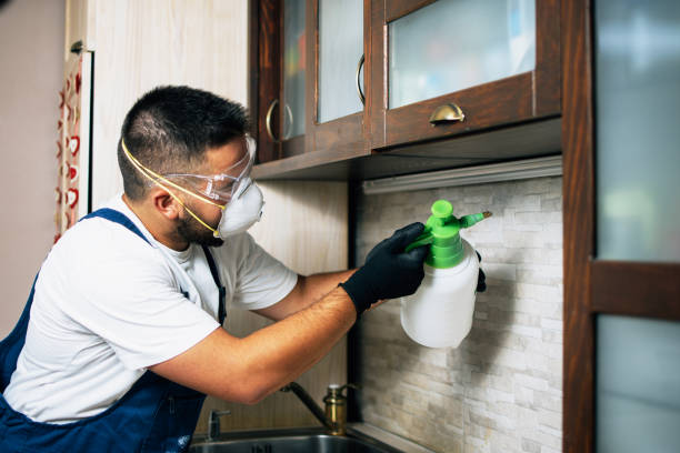 Wasp Removal Services in Sunbury, PA